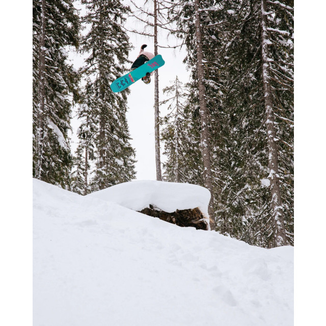 Rome All mountain freeride snowboard Service Dog large