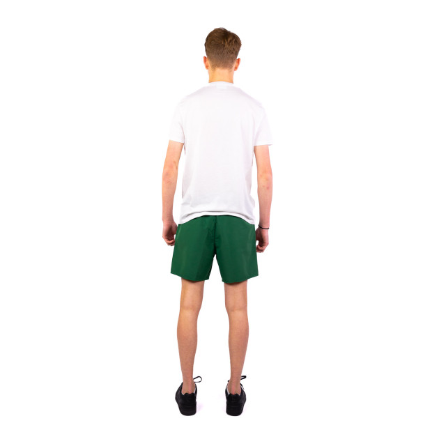 Lacoste Casual t-shirt heren TH6709 large