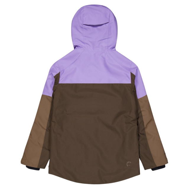 Picture Ski jas dames WVT0368 large