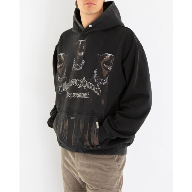 Represent Heren thoroughbred hoodie black MLM41134-003-003 large