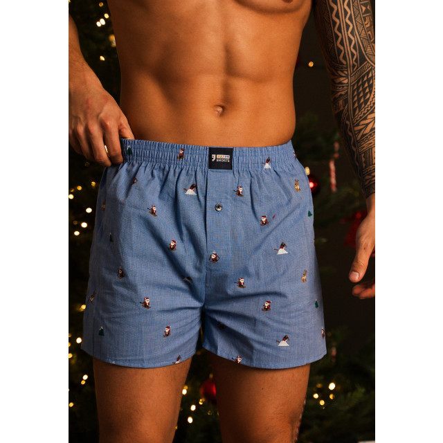 Happy Shorts Heren wijde boxershorts kerst print 2-pack lichtblauw/groen HS-377+378 large