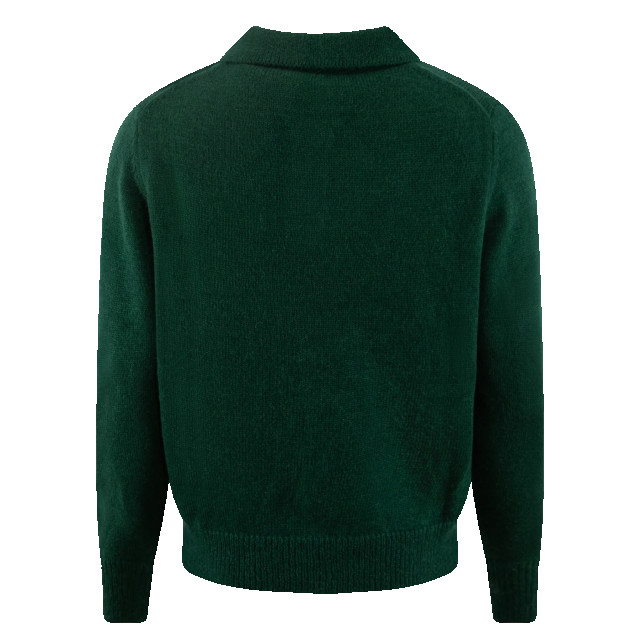 Bram's Fruit Heren lemon polo knit Lemon Polo Knit - Green-Green large