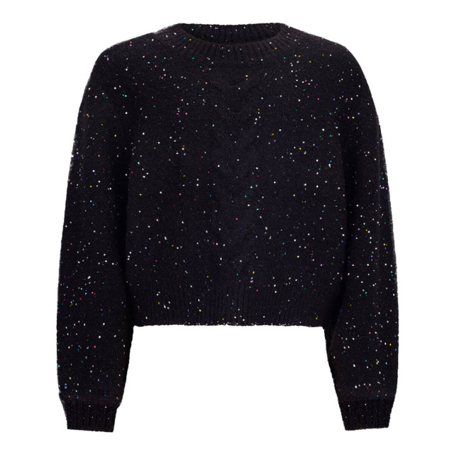 Retour Jasje rjg-44-800 twiggy Retour Jeans Pullover RJG-44-800 Twiggy large