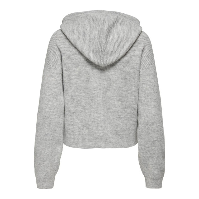 Jacqueline de Yong Lumi life l/s hood pullover JDYLUMI LIFE L/S HOOD PULLOVER large