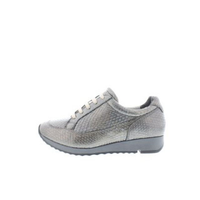 JJ Footwear 508 accel h 1508003 145/027 large