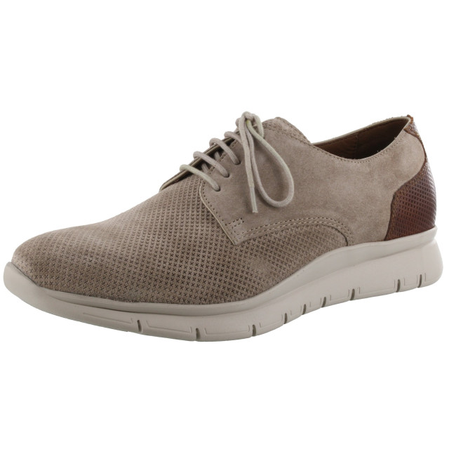 Solidus Gino g 68000-40333 large
