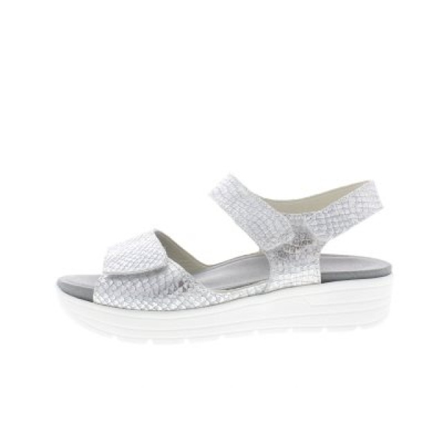 Solidus Greta g 48000-10147-G large