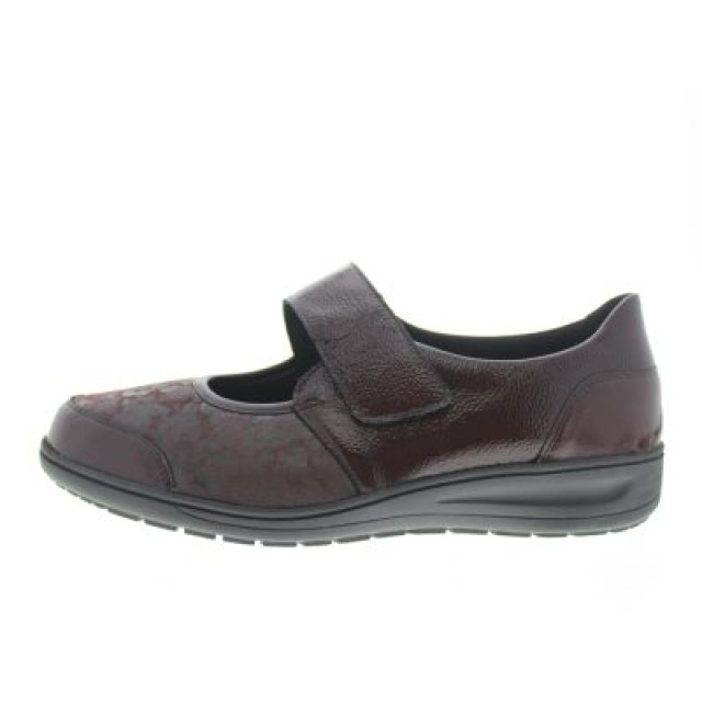 Solidus Kate k 29503-50590-K large