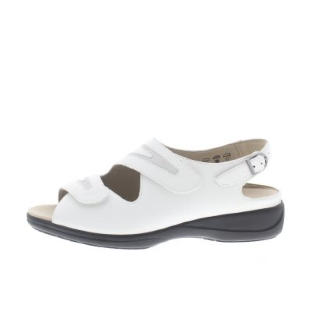 Solidus Lia h 73043-10049-H large