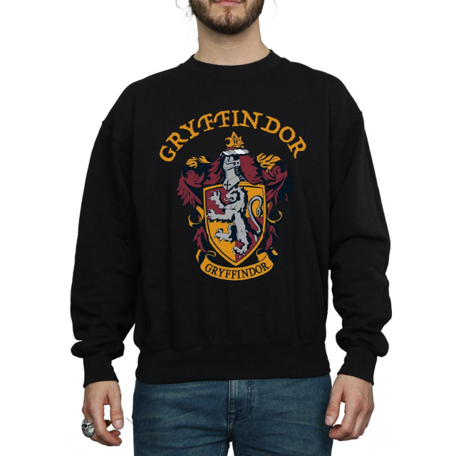 Li-cense Harry potter heren gryffindor sweatshirt UTBI1874_black large
