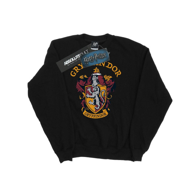 Li-cense Harry potter heren gryffindor sweatshirt UTBI1874_black large