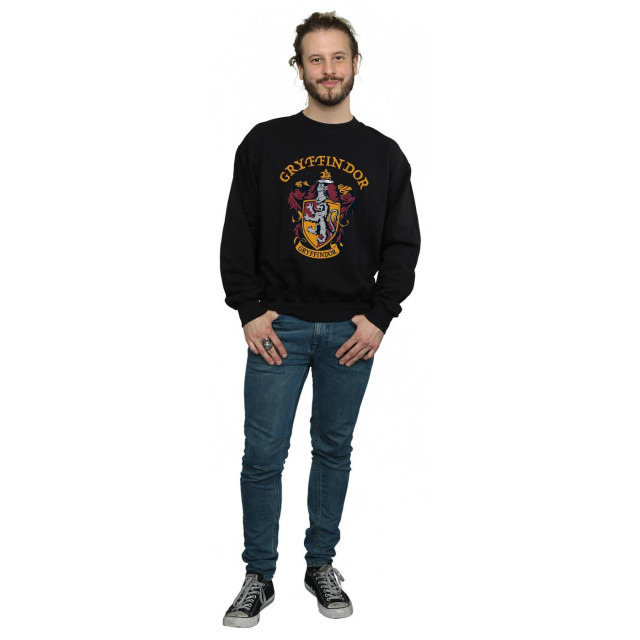 Li-cense Harry potter heren gryffindor sweatshirt UTBI1874_black large