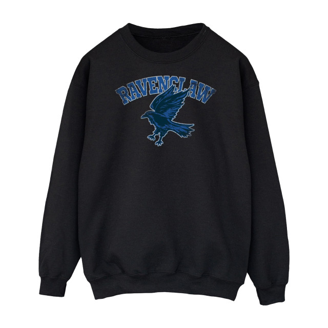 Li-cense Harry potter heren ravenclaw sweatshirt UTBI1865_black large