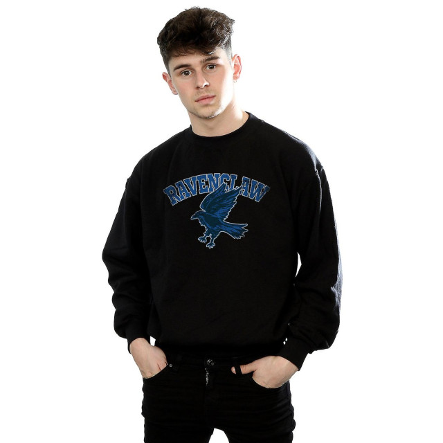 Li-cense Harry potter heren ravenclaw sweatshirt UTBI1865_black large