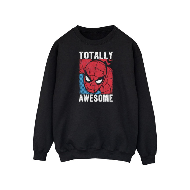 Li-cense Spider-man heren-totally awesome sweatshirt UTBI1876_black large