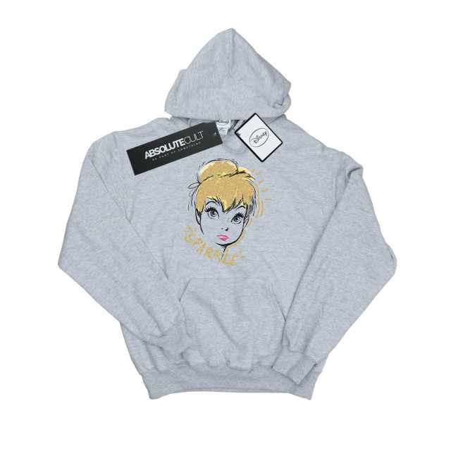Li-cense Disney heren tinkerbell sparkle hoodie UTBI19303_sportsgrey large