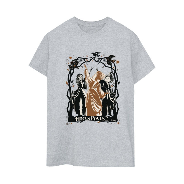 Li-cense Disney dames hocus pocus vogels katoenen vriendje t-shirt UTBI20246_sportsgrey large