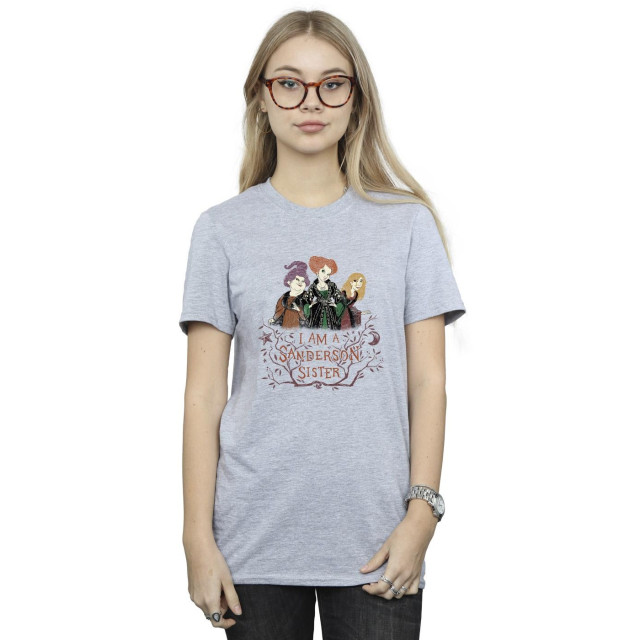 Li-cense Disney dames hocus pocus sanderson zuster katoenen vriend t-shirt UTBI20149_sportsgrey large