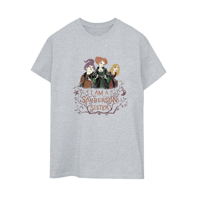 Li-cense Disney dames hocus pocus sanderson zuster katoenen vriend t-shirt UTBI20149_sportsgrey large