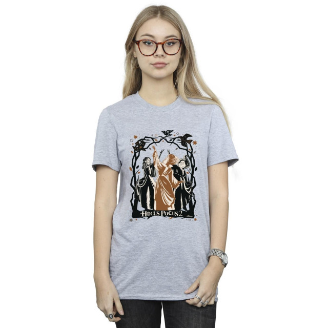 Li-cense Disney dames hocus pocus vogels katoenen vriendje t-shirt UTBI20246_sportsgrey large