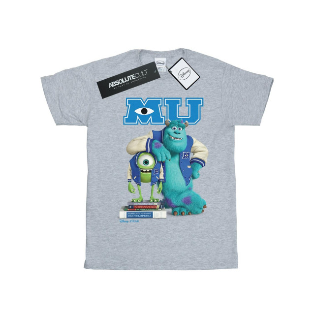 Li-cense Disney heren monsters university poster t-shirt UTBI19019_sportsgrey large