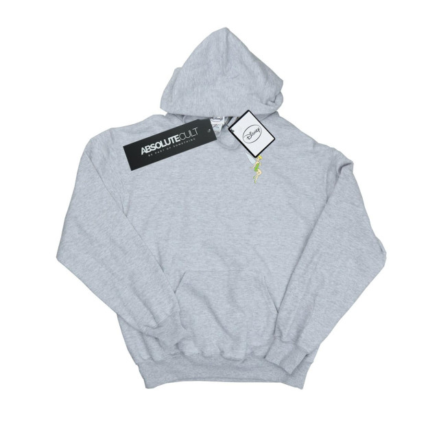 Li-cense Disney heren tinkerbell borsttrui UTBI19304_sportsgrey large