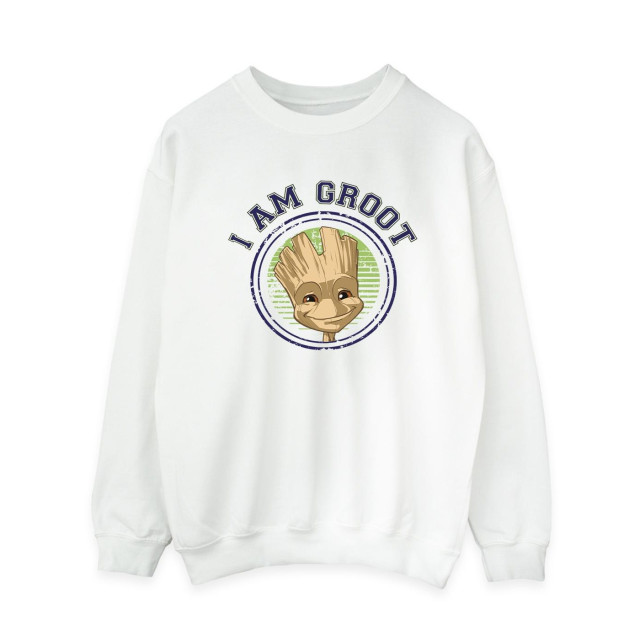 Li-cense Guardians of the galaxy dames groot varsity sweatshirt UTBI19633_white large