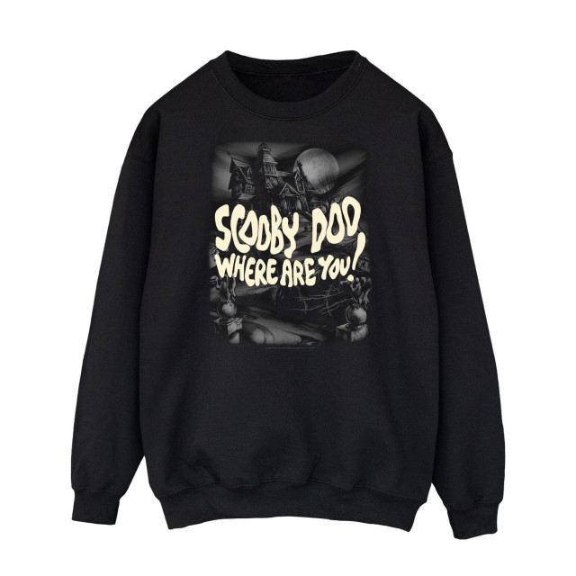 Li-cense Scooby doo dames waar ben je? castle sweatshirt UTBI1974_black large