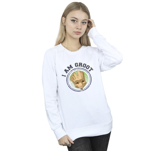 Li-cense Guardians of the galaxy dames groot varsity sweatshirt UTBI19633_white large