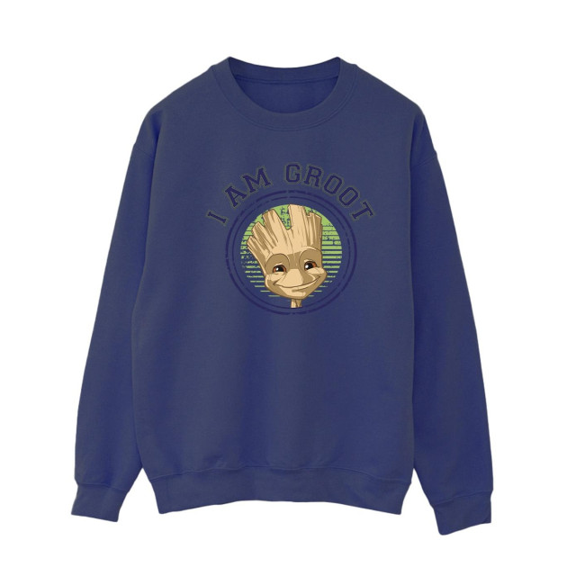Li-cense Guardians of the galaxy dames groot varsity sweatshirt UTBI19633_navyblue large