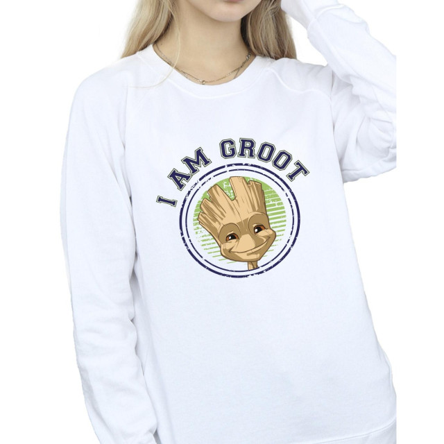 Li-cense Guardians of the galaxy dames groot varsity sweatshirt UTBI19633_white large