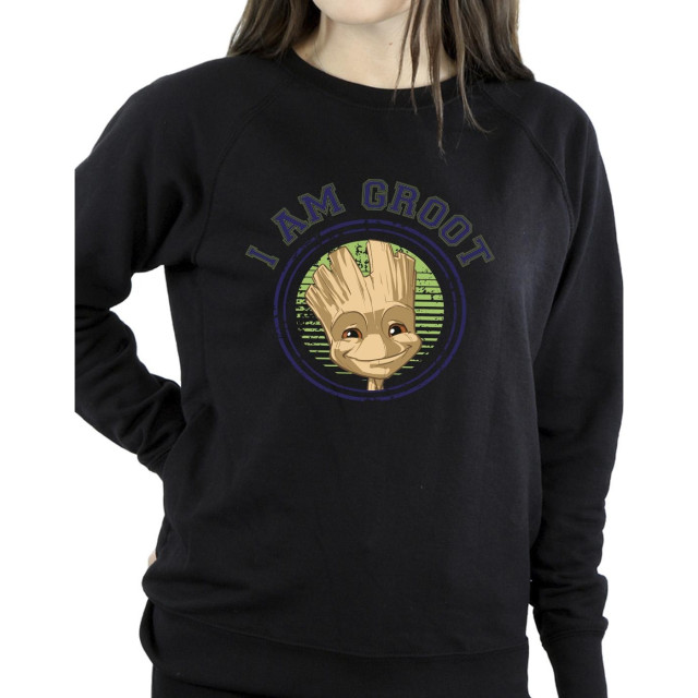 Li-cense Guardians of the galaxy dames groot varsity sweatshirt UTBI19633_black large