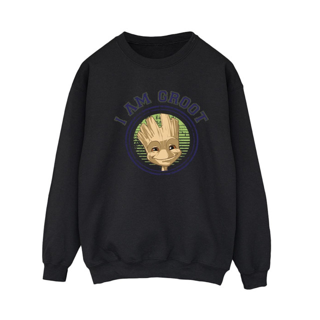 Li-cense Guardians of the galaxy dames groot varsity sweatshirt UTBI19633_black large