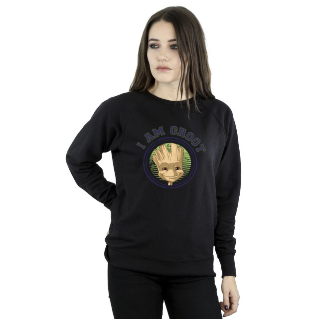 Li-cense Guardians of the galaxy dames groot varsity sweatshirt UTBI19633_black large
