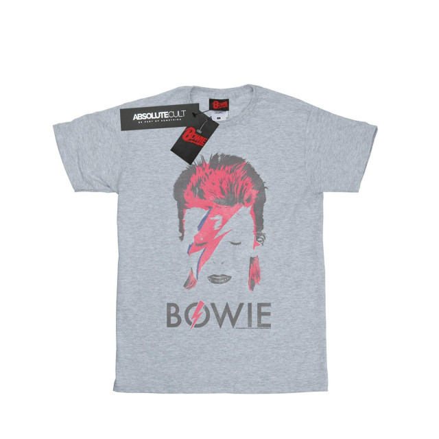 Li-cense David bowie dames aladdin sane distressed katoenen vriendje t-shirt UTBI18835_sportsgrey large