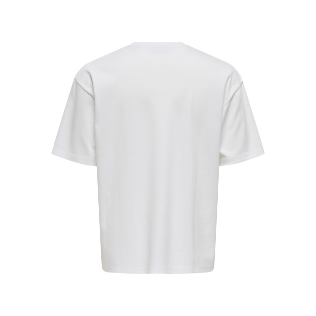 Only & Sons Onscaspian aut ss tee noos 22031940 large