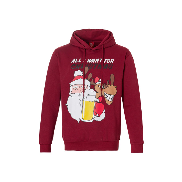 Apollo Heren kersttrui met capuchon kerst print 000166999005_ASS3_BLUE large