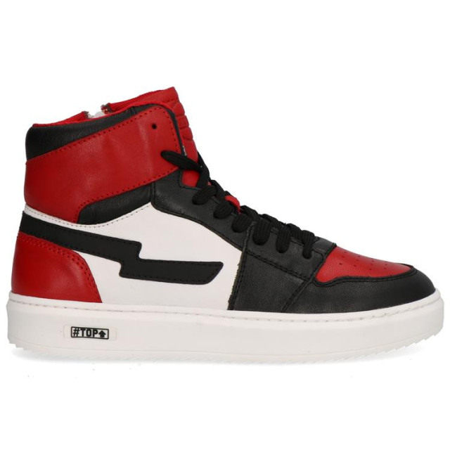 Gattino G1665 G1665 large