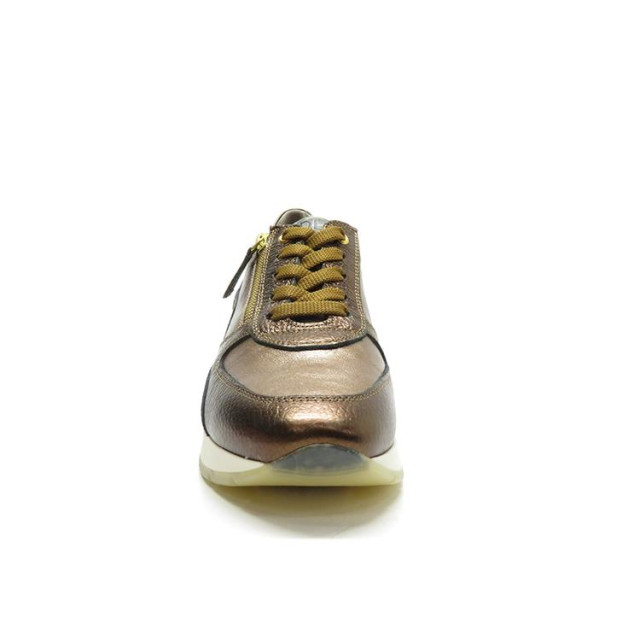 DL Sport 6337 6337 large