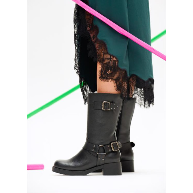DWRS Label B3817-01 kiana B3817-01 KIANA large