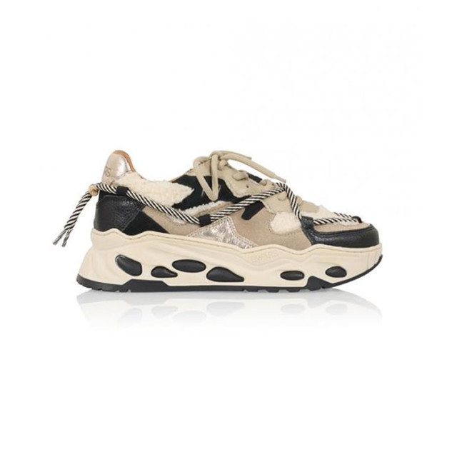 DWRS Label Saturnus j5554c J5554C Jupiter large