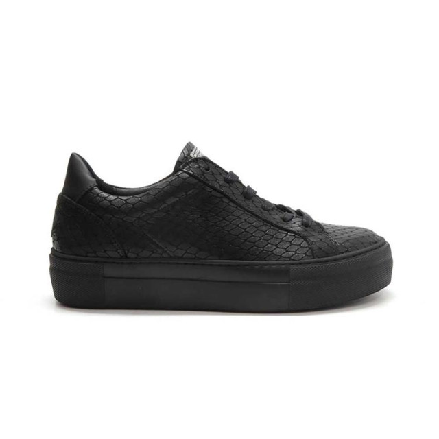 Floris van Bommel SFW-10059 Sneakers Zwart SFW-10059 large