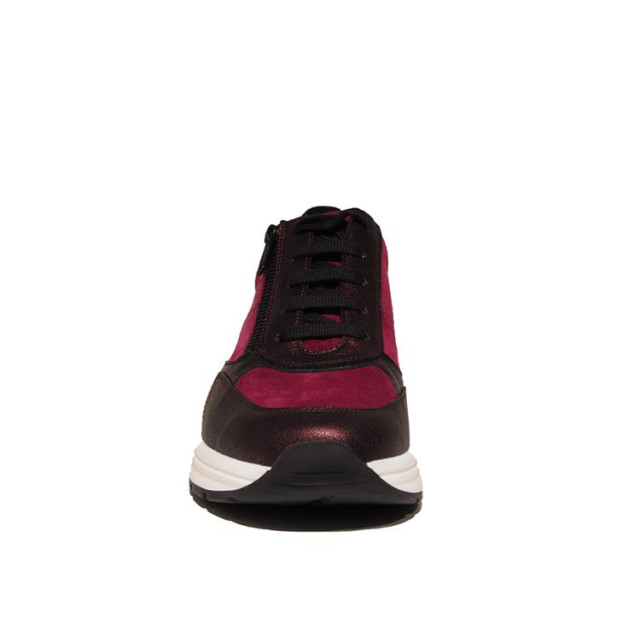 Solidus 46023 holly 023 46023 Holly large