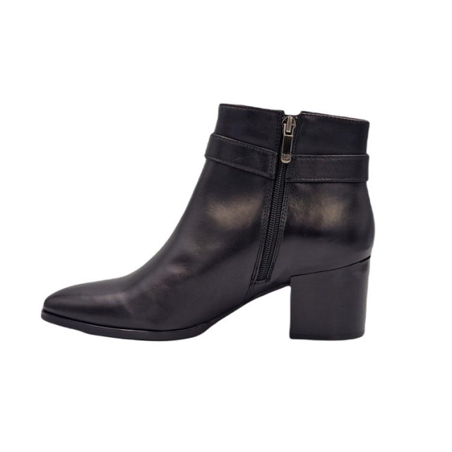 Regarde le Ciel Taylor-f24-35 TAYLOR-F24-35 large