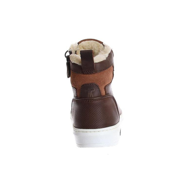 HIP H2729 h2729 large