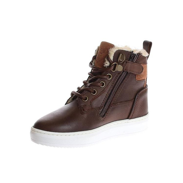 HIP H2729 h2729 large