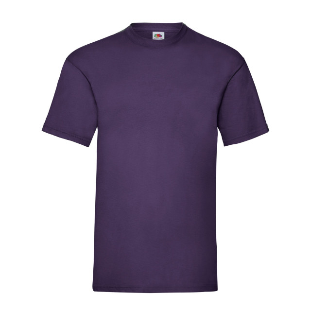 Fruit of the Loom Unisex adult waardevol t-shirt UTLT1940_purple large