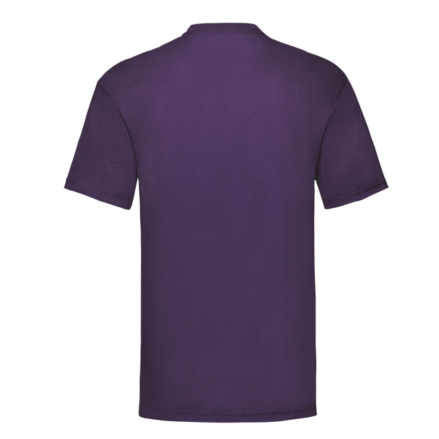 Fruit of the Loom Unisex adult waardevol t-shirt UTLT1940_purple large