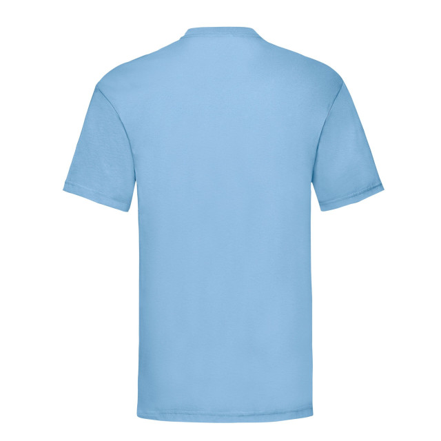 Fruit of the Loom Unisex adult waardevol t-shirt UTLT1940_skyblue large