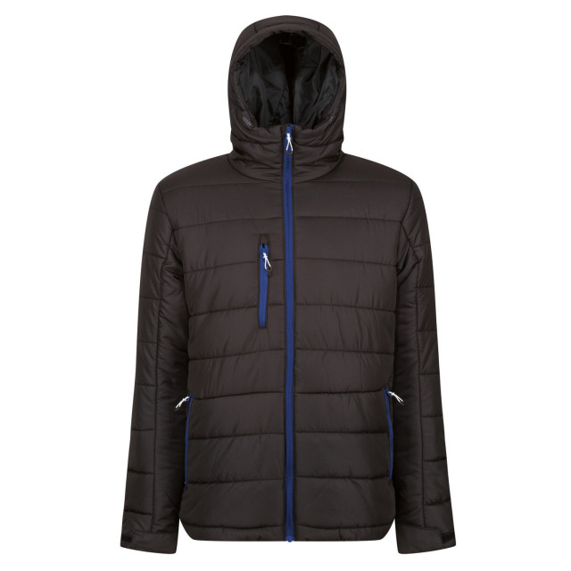 Regatta Heren navigate thermische hooded jacket UTFK2761_blacknewroyal large